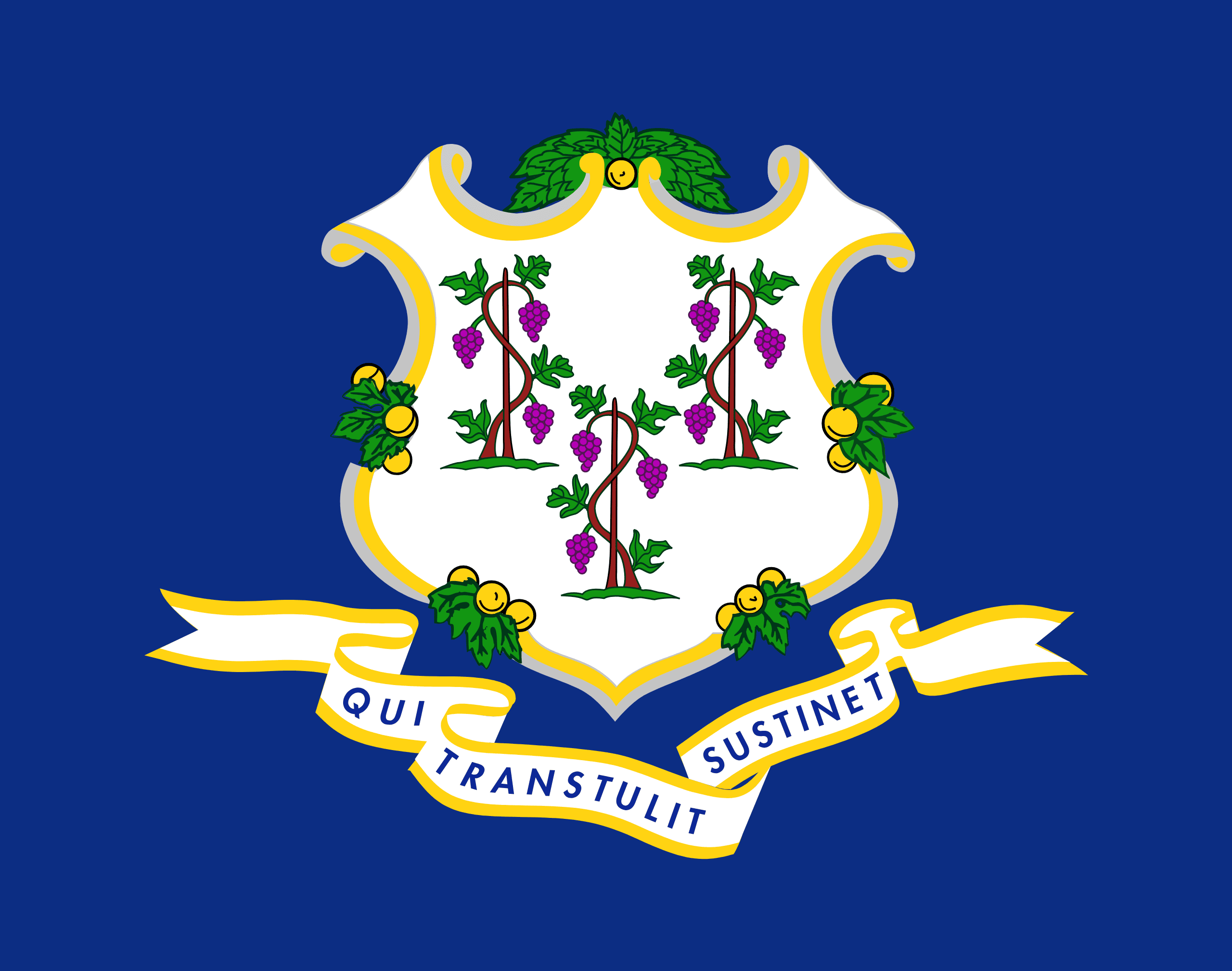 CT state flag