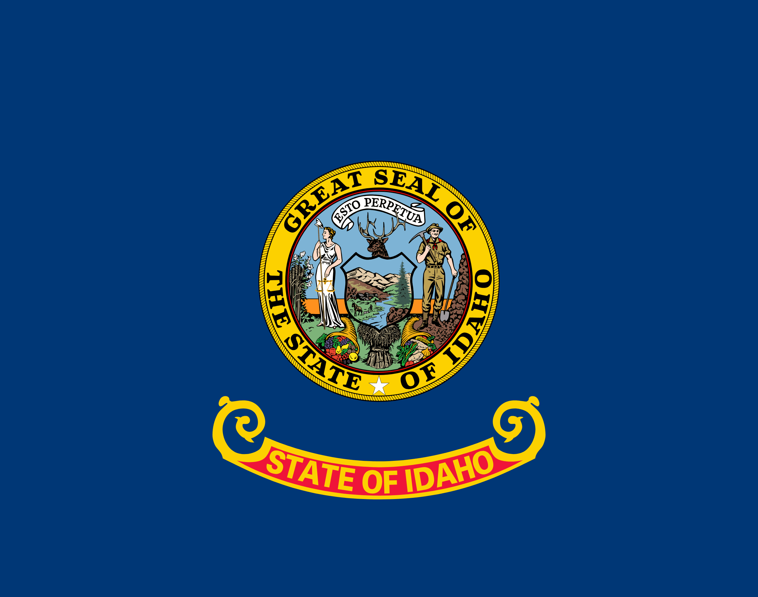 ID state flag