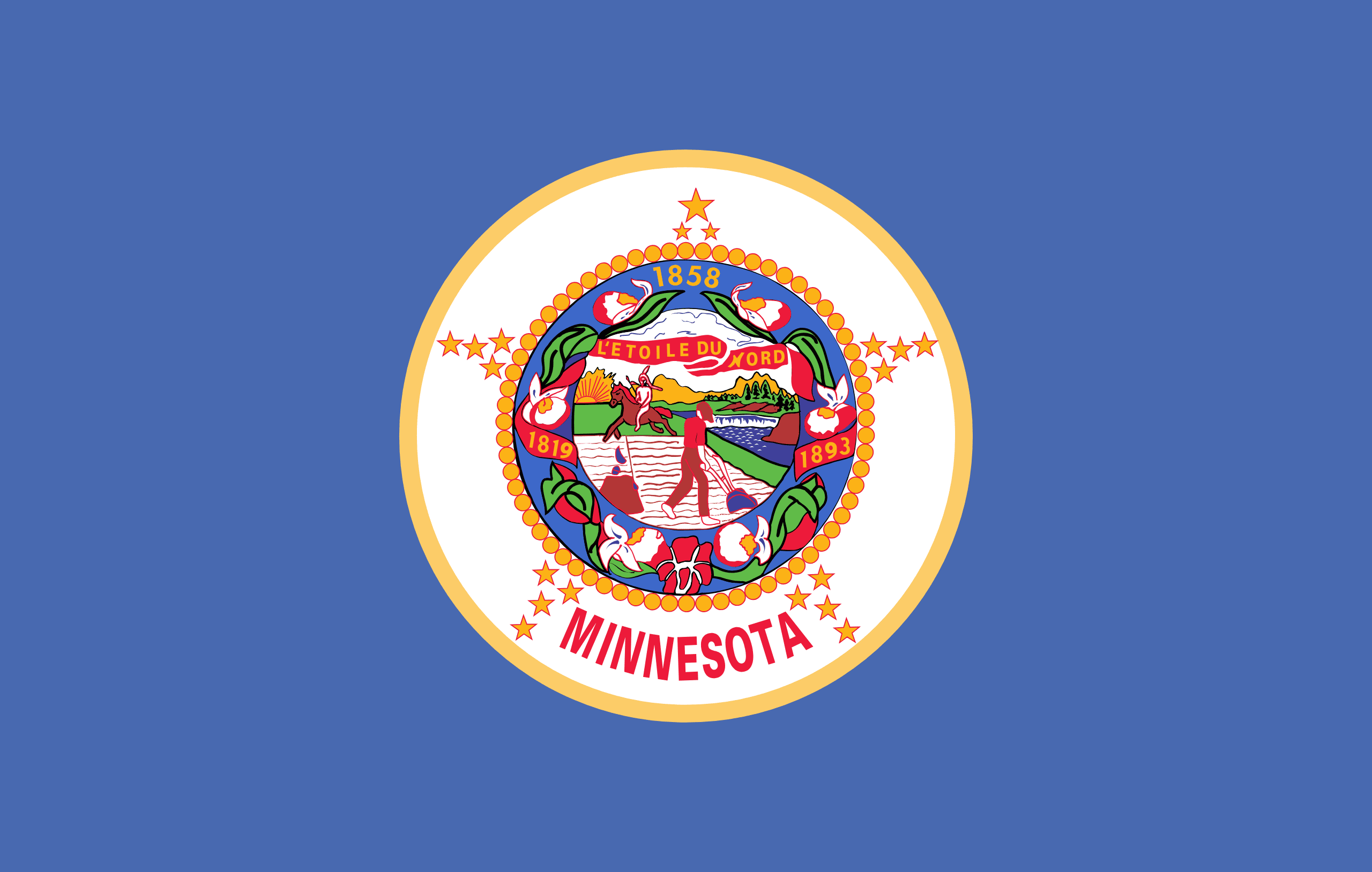 MN state flag