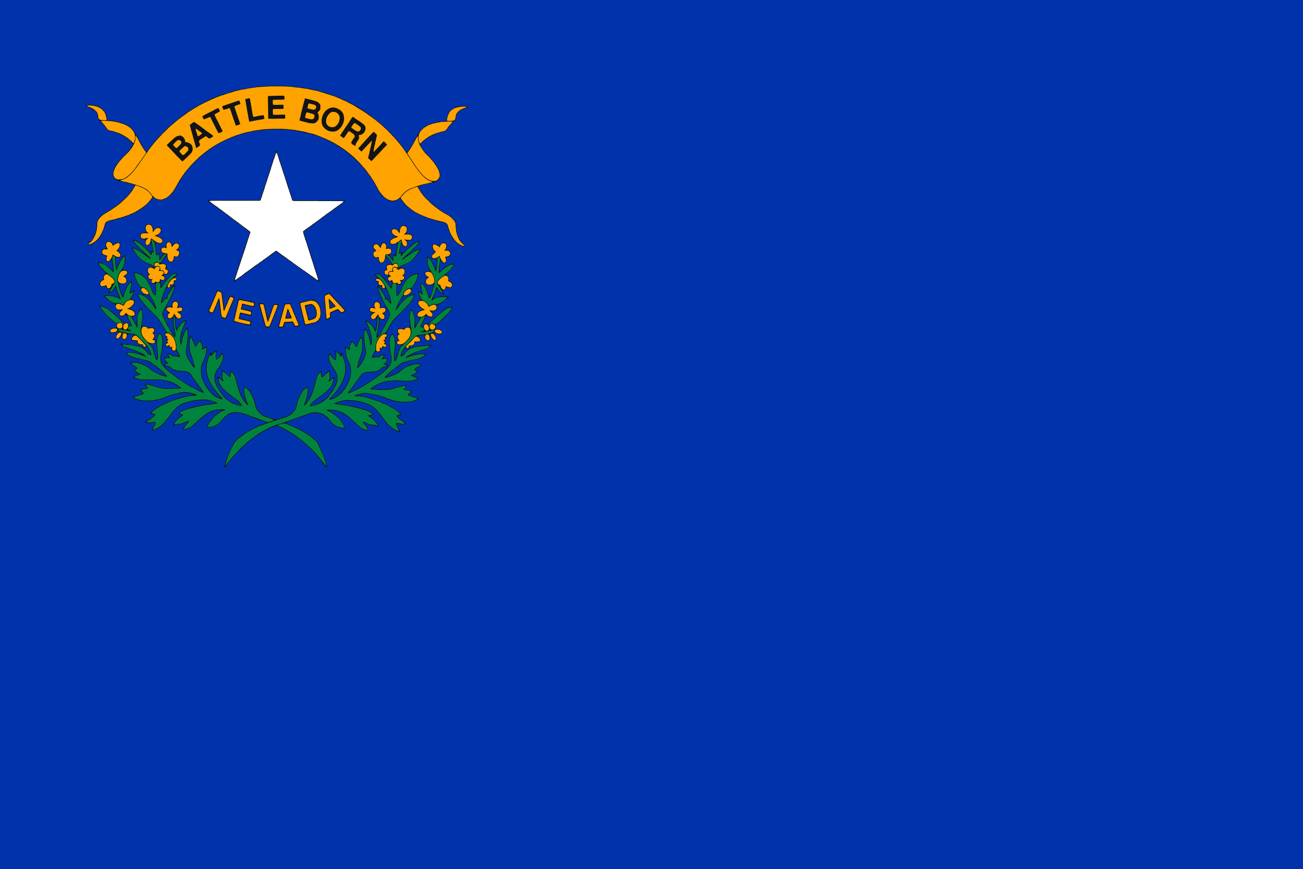 NV state flag